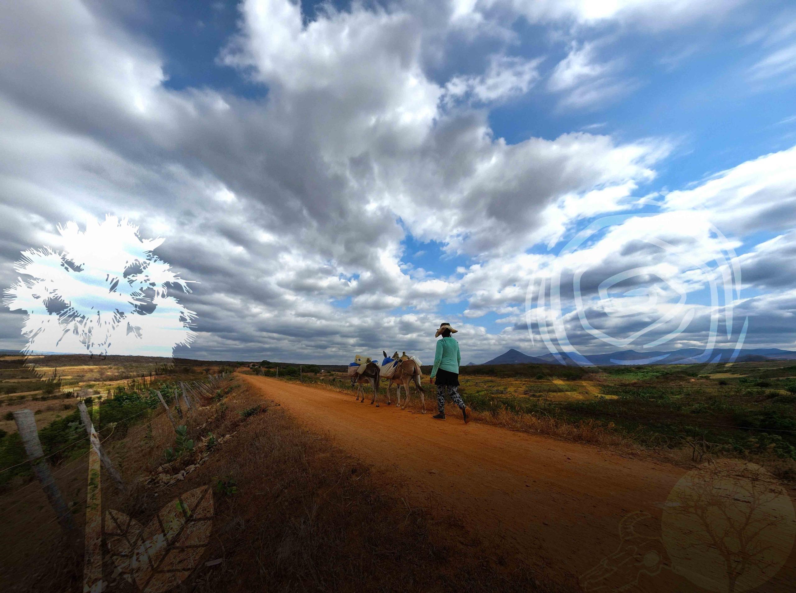 Paisagem rural com uma estrada de terra alaranjada atravessando a cena. À direita, uma pessoa caminha conduzindo dois jumentos carregados com sacolas. O céu está coberto por nuvens densas, com pequenas aberturas de azul. A vegetação ao redor é seca, típica de clima semiárido, e ao fundo há serras e morros suavemente destacados no horizonte. A foto é de Joaquim Freitas, da Associação Caatinga.