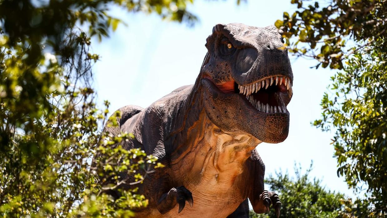 Foto que contém réplica de dinossauro em Caucaia.