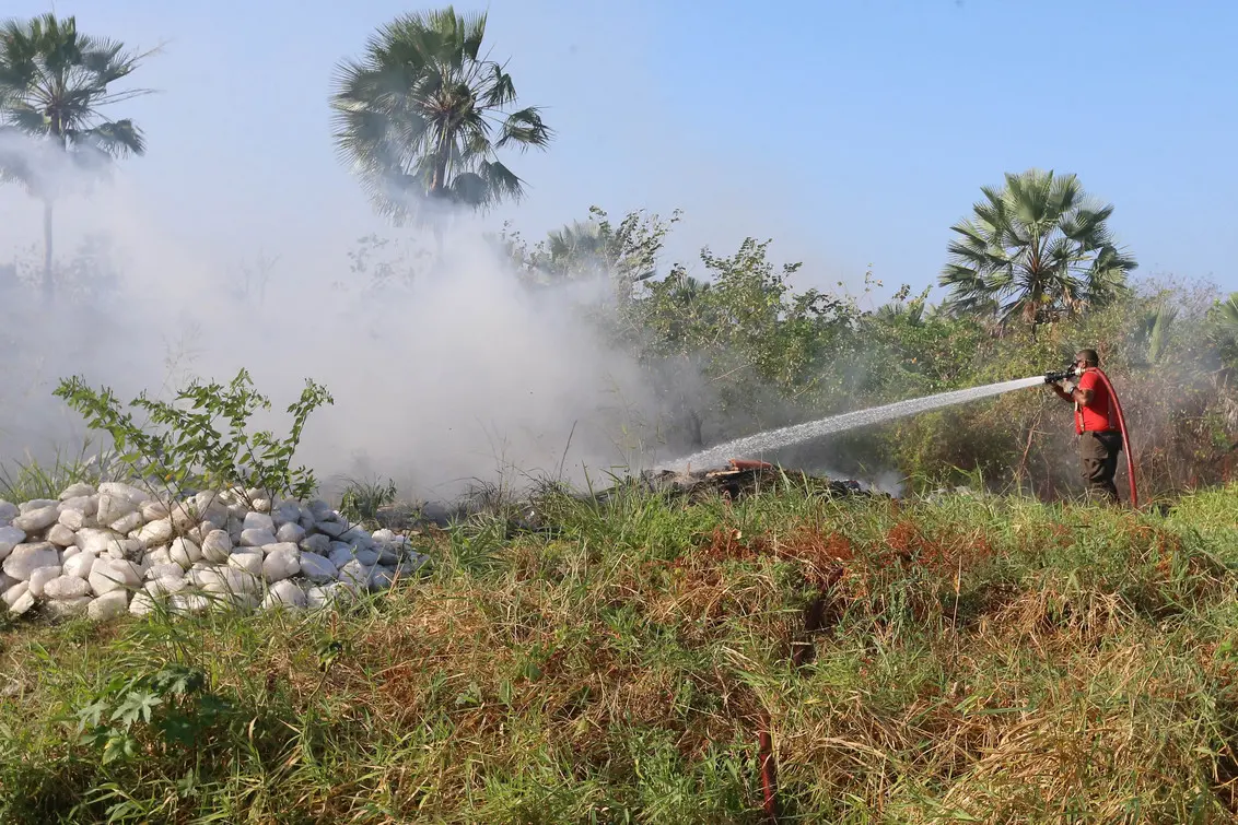 Bombeiro cearense de camisa vermelha usando mangueira para combater um foco de fumaça ou pequeno incêndio em área gramada, com palmeiras ao fundo.