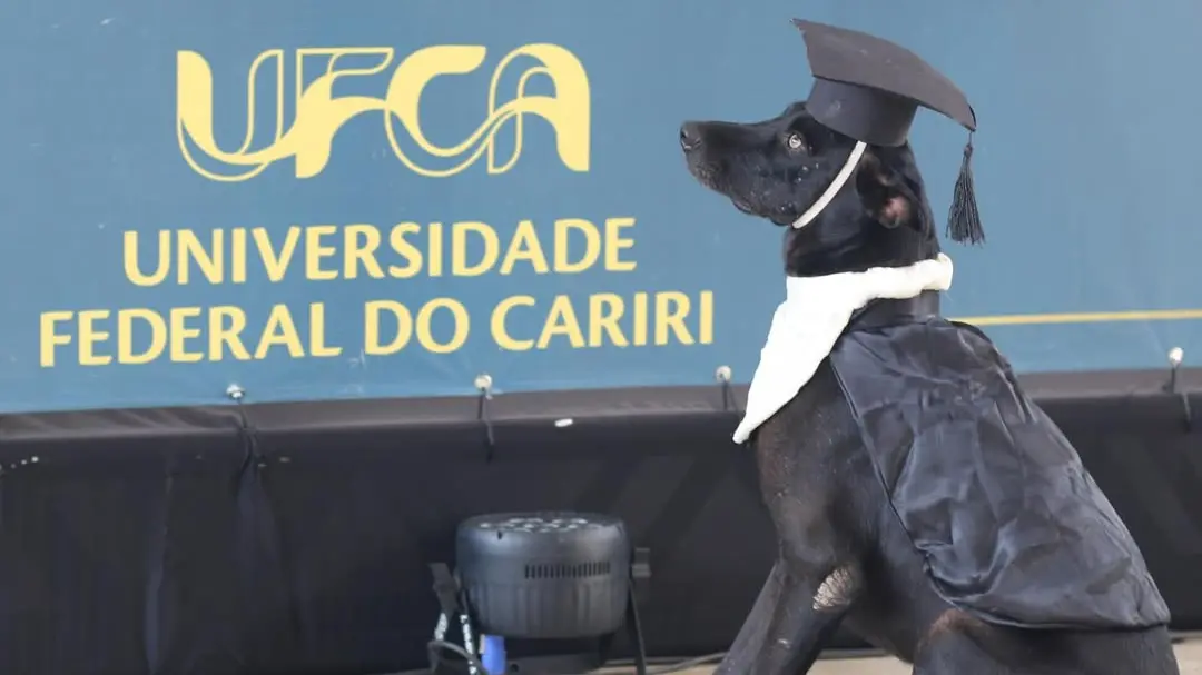 capa da noticia