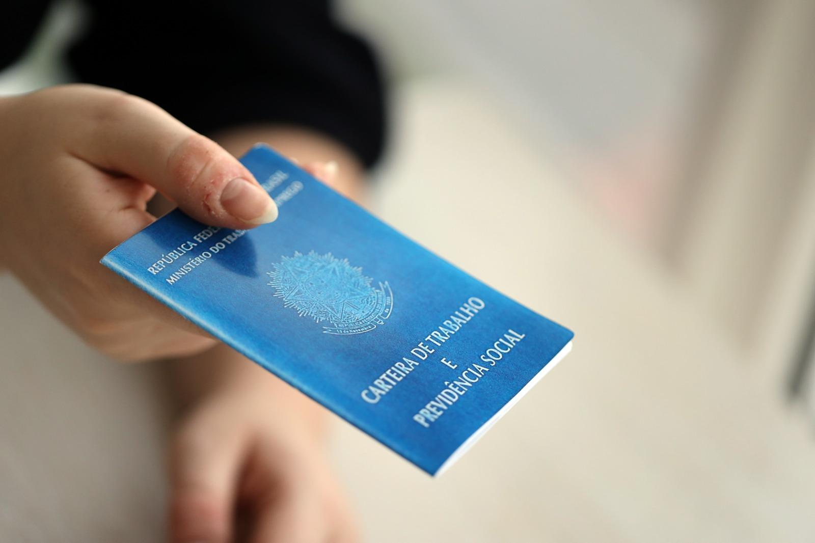 Pessoa segura a carteira de trabalho.