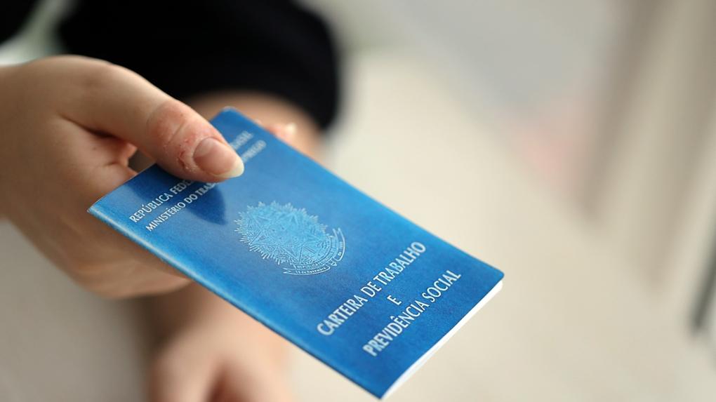 Pessoa segura a carteira de trabalho.