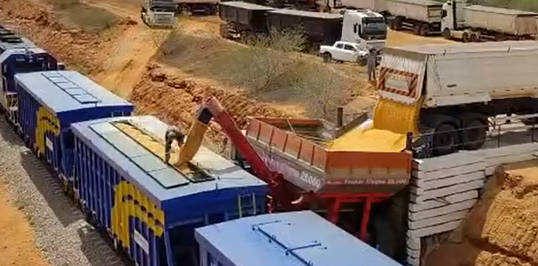 Foto que contém carregamento de milho em vagão da Transnordestina.