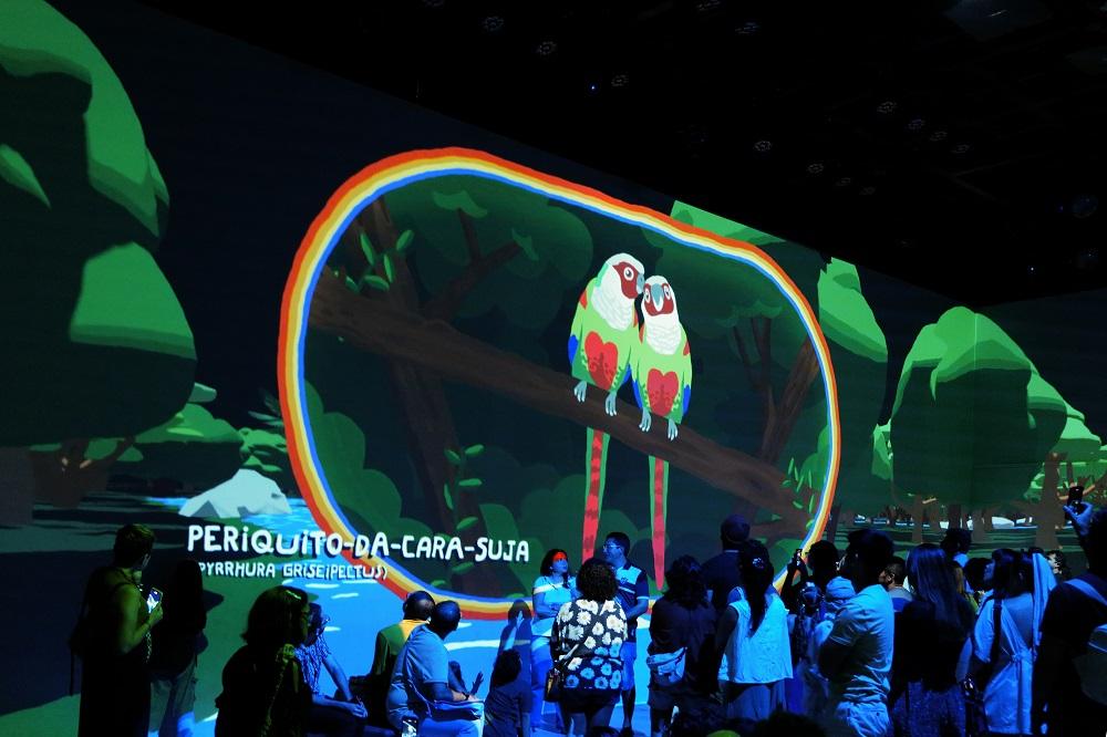 Exposição 'Aves do Ceará' está em cartaz na sala imersiva do MIS.