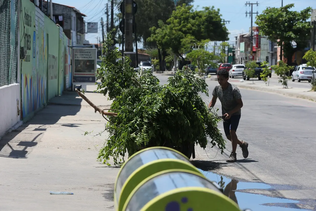 Jovem empurra um carrinho de mão carregado com galhos e folhas verdes em uma rua urbana ensolarada de Fortaleza, com casas e carros ao fundo.