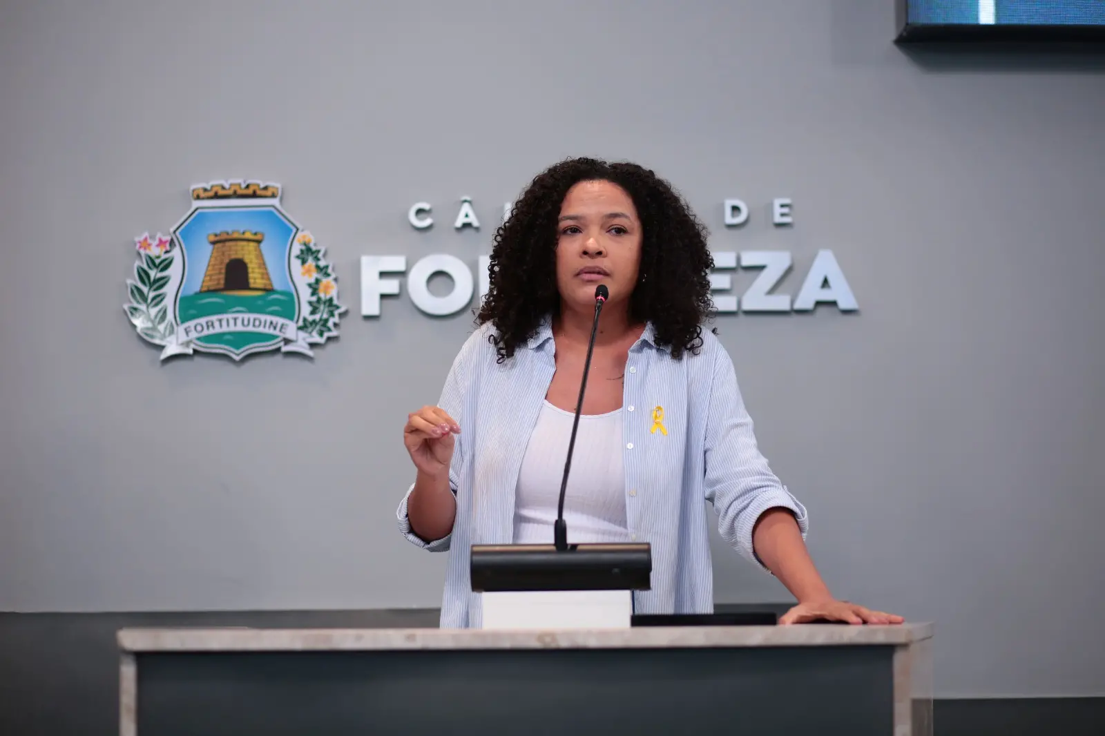 Proposta da vereadora Adriana Gerônimo (Psol) aguarda tramitação na Câmara de Fortaleza.