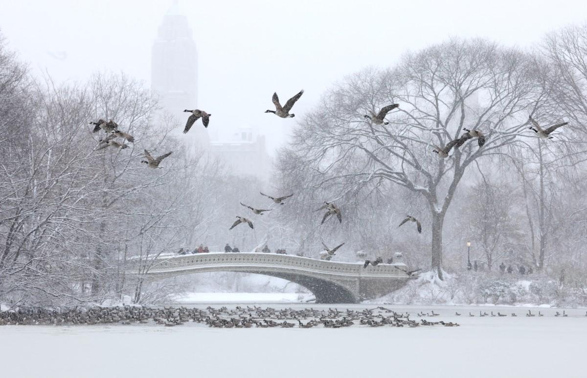 Bow Bridge, no Central Park, coberta de neve na cidade de Nova York em 27 de dezembro de 2025.