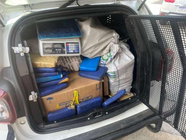 A imagem mostra tabletes de maconha, caixas e sacos, dentro de uma viatura policial.