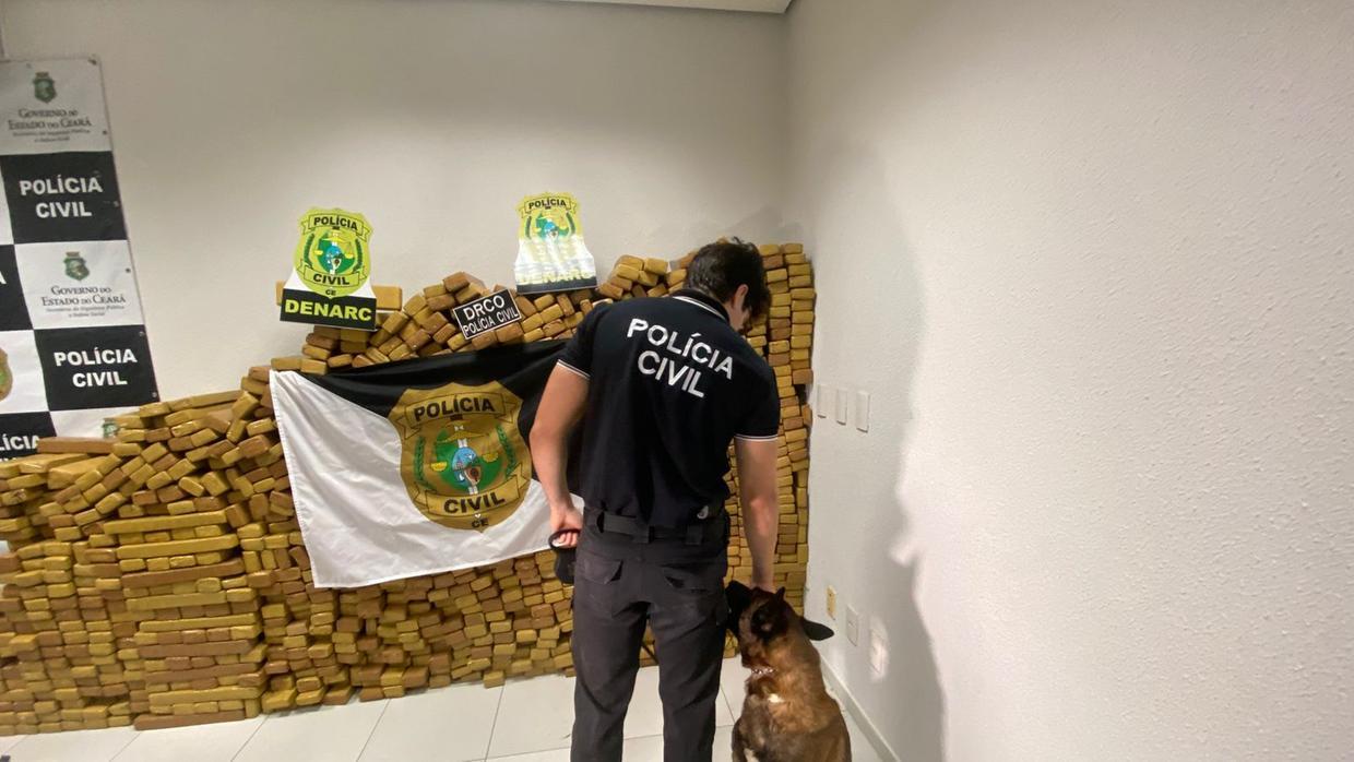 drogas apreendidas maconha e policial civil acompanhado de cachorro cao farejador.