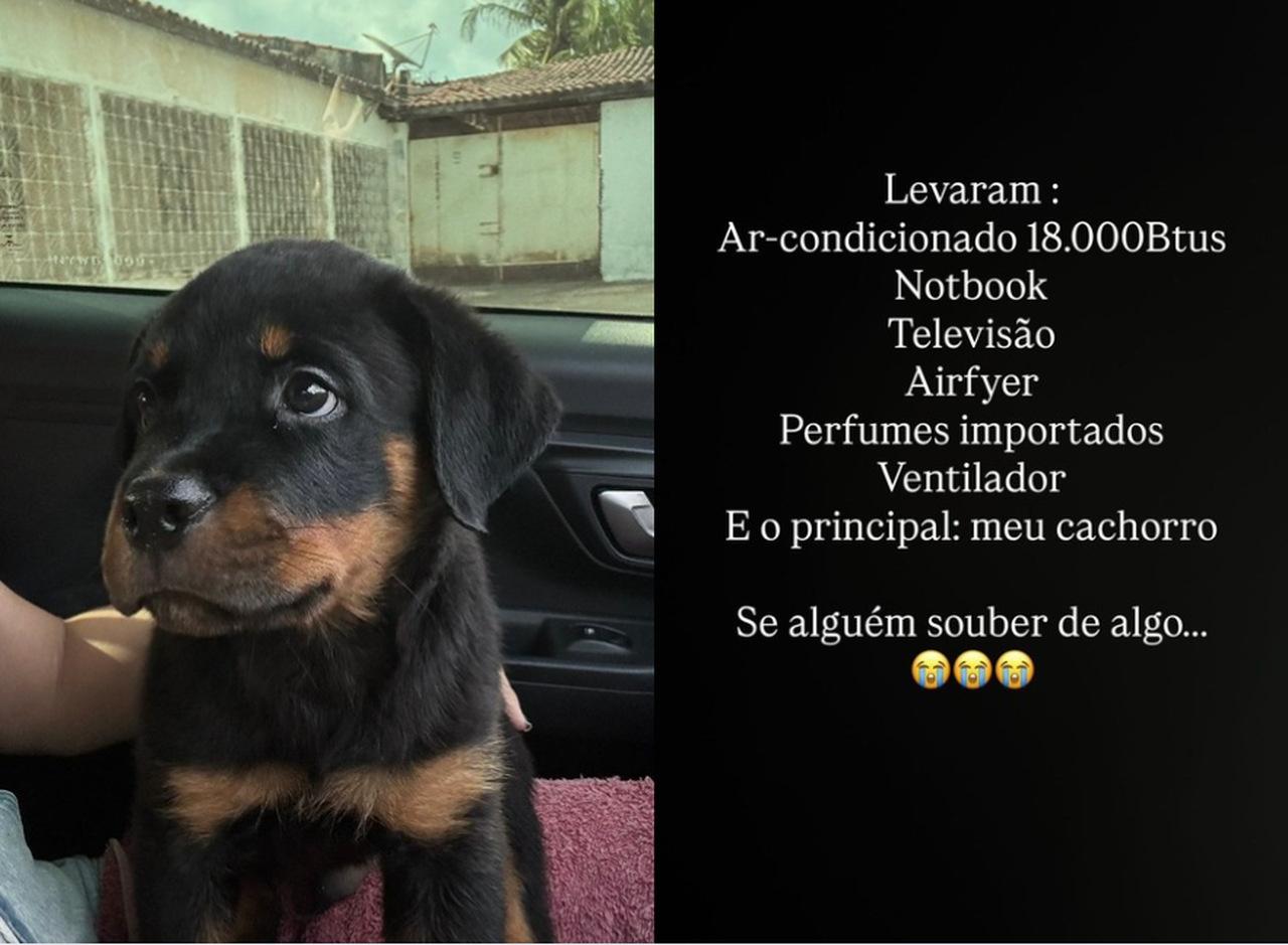 Duas imagens lado a lado. À esquerda, foto de filhote de Rottweiler preto com focinho amarronzado dentro de um carro, com o fundo sendo um portão branco de uma casa. À direita, tela preta com os dizeres 