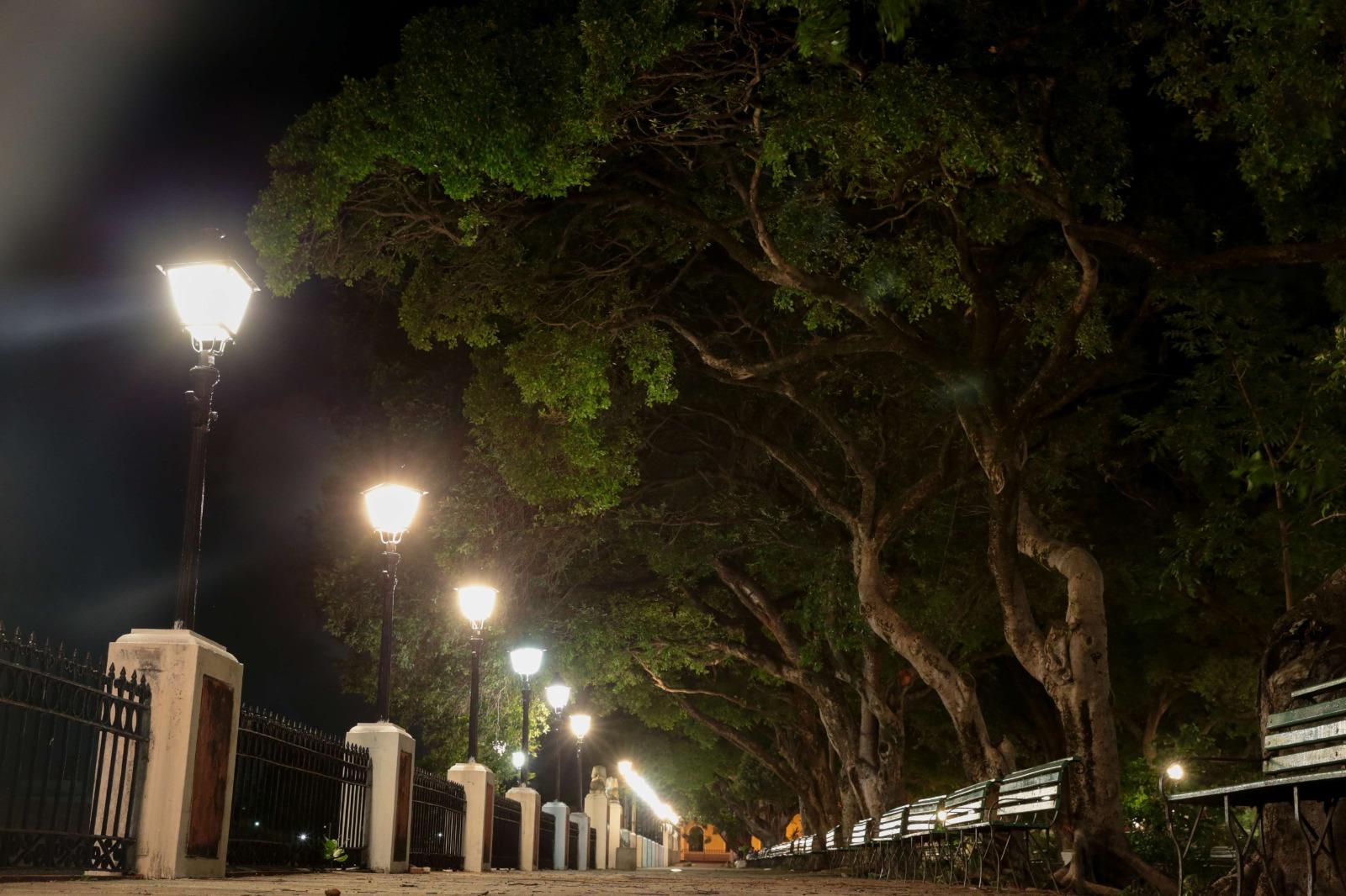 Foto de iluminação no Passeio Público, em Fortaleza.