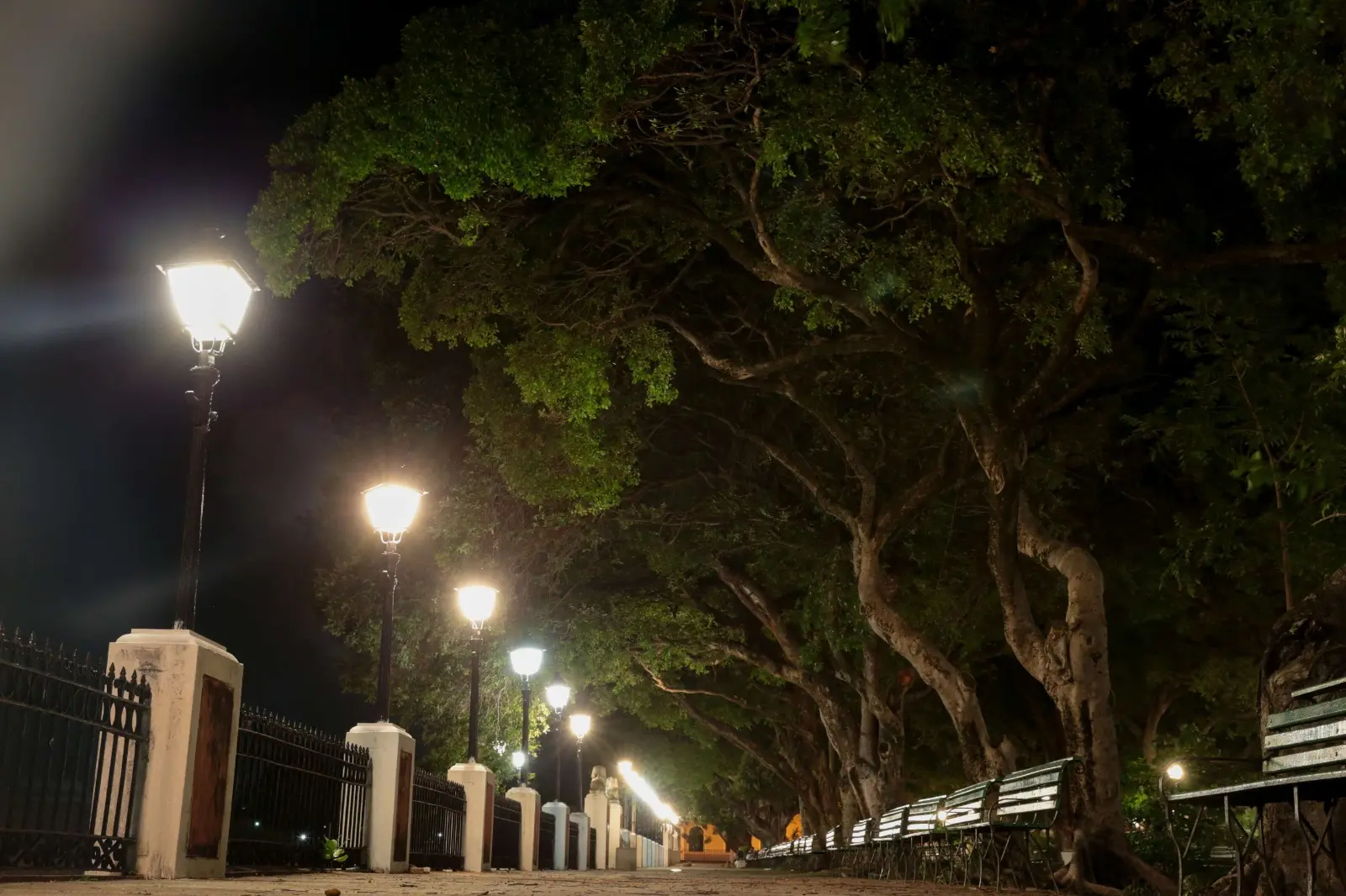 Foto de iluminação no Passeio Público, em Fortaleza.