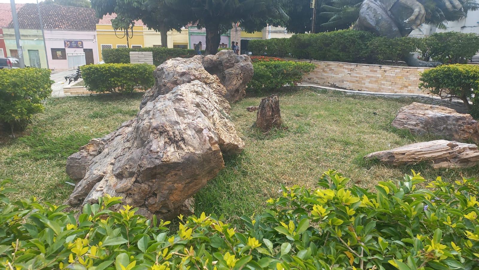 Árvores fósseis grandes e irregulares em um canteiro gramado, com arbustos verdes em primeiro plano e casas coloridas ao fundo de uma praça.