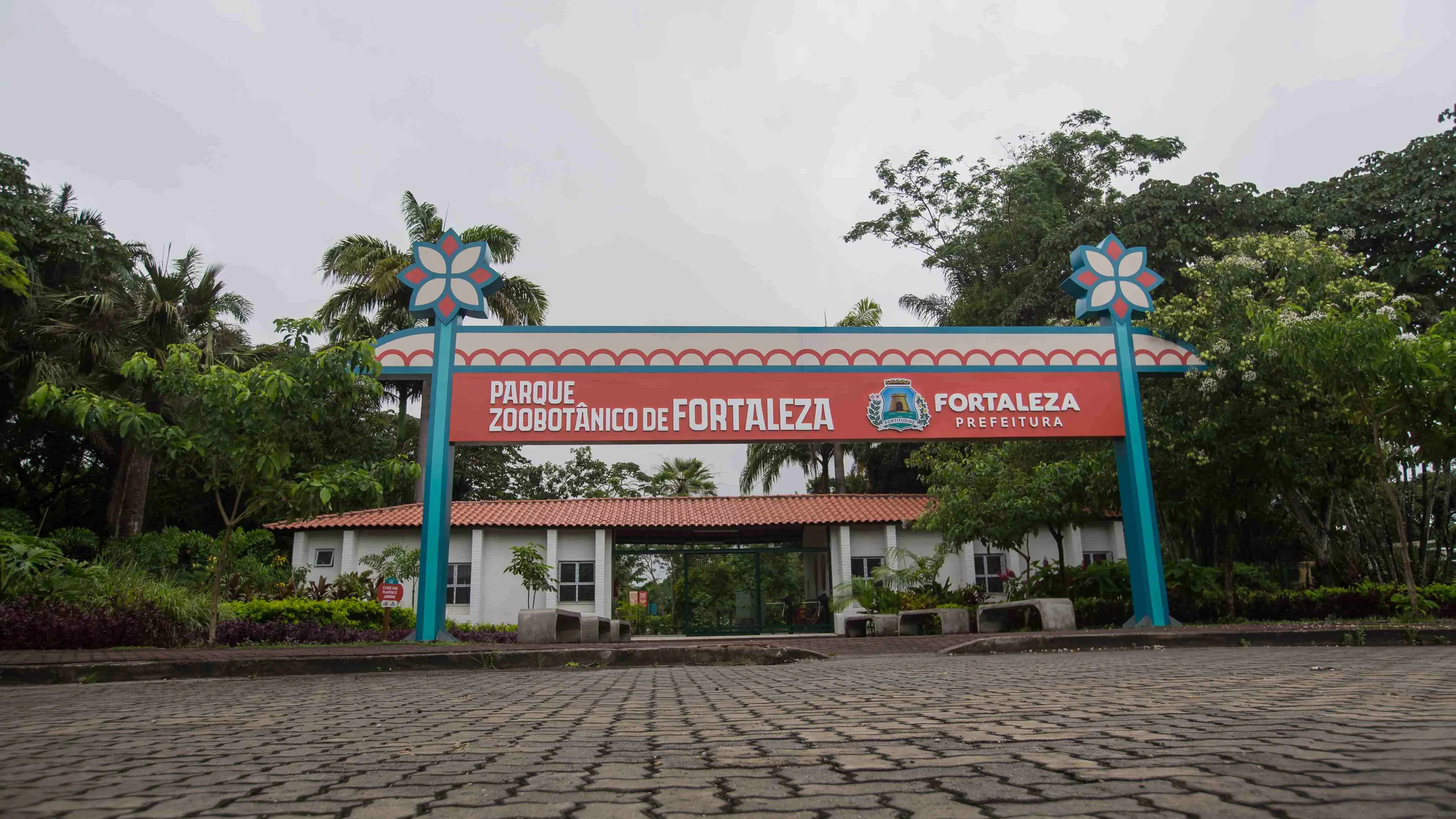 capa da noticia