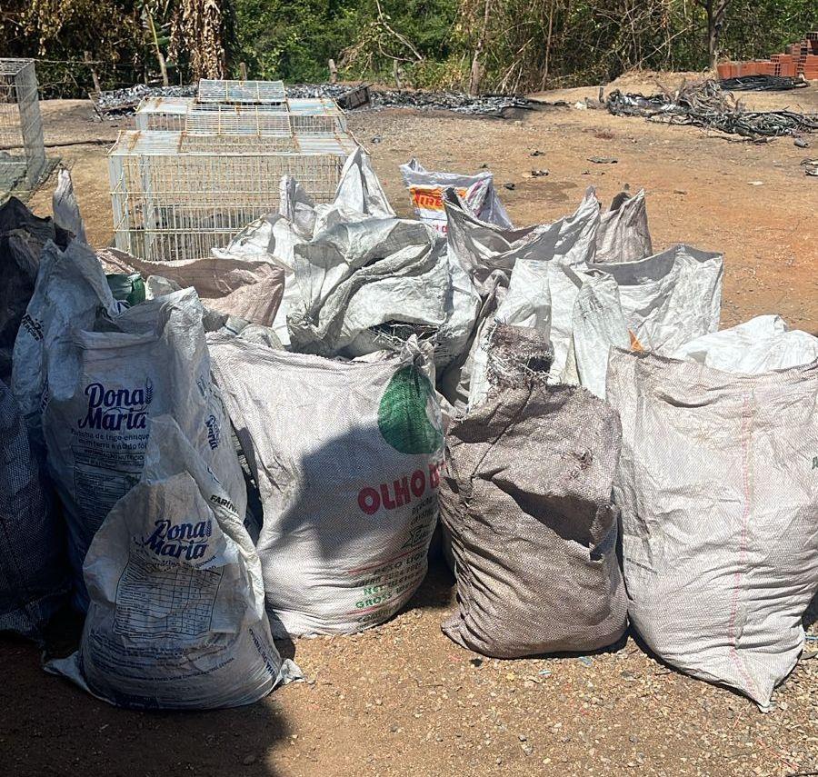 fios de cobre dentro de sacolas.