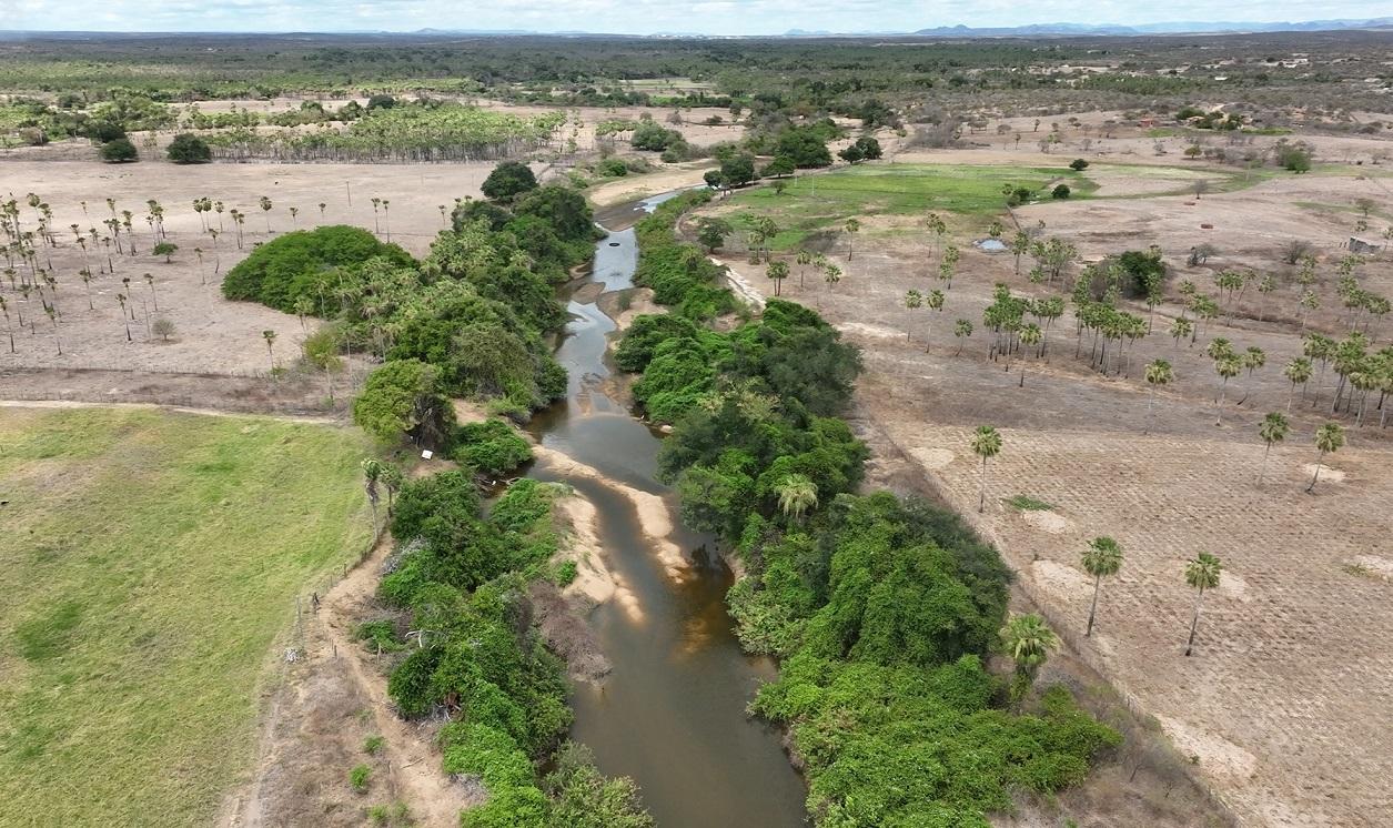 Vista aérea de um rio sinuoso ladeado por densa vegetação verde, serpenteando por uma paisagem predominantemente seca com palmeiras esparsas e algumas áreas gramadas. É o rio Figueiredo, no Ceará.