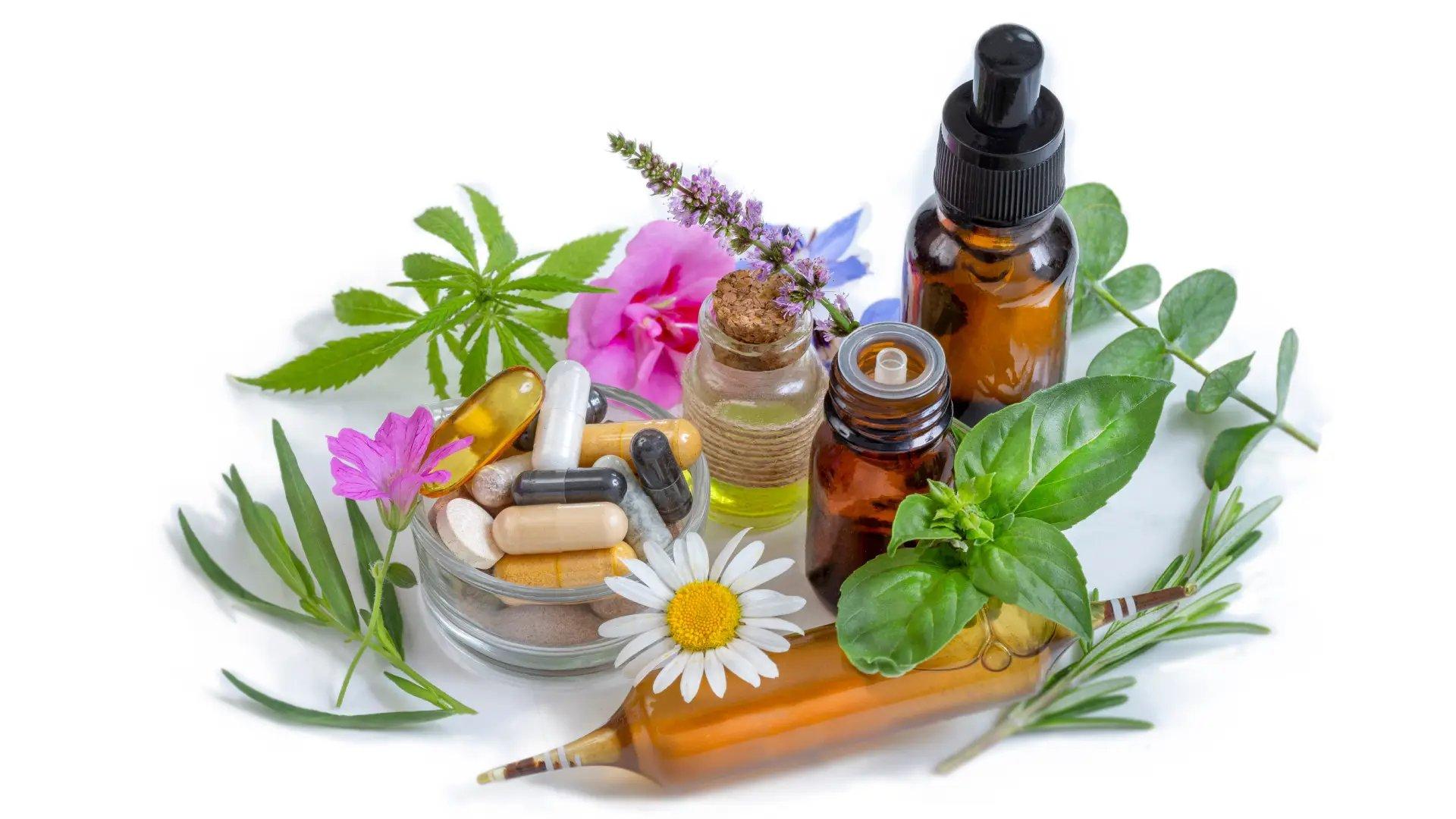 foto de fitoterápicos, medicamentos e plantas.