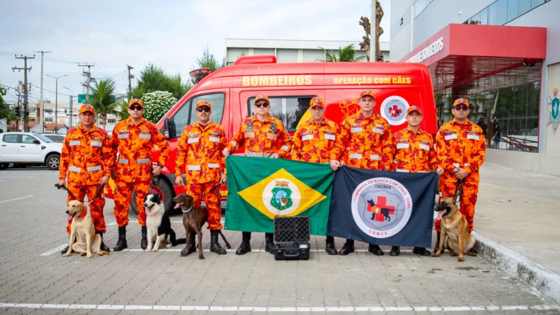 Bombeiros cearenses e os cães farejadores Clark, Duck, Lara e Dora.