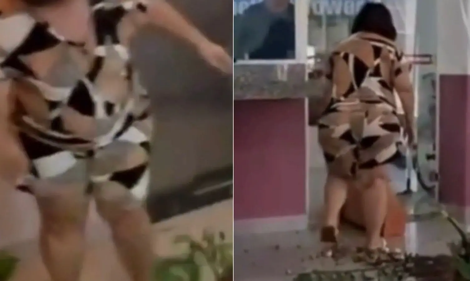 Mãe de vítima destrói vasos de plantas em prédio de Goiás.