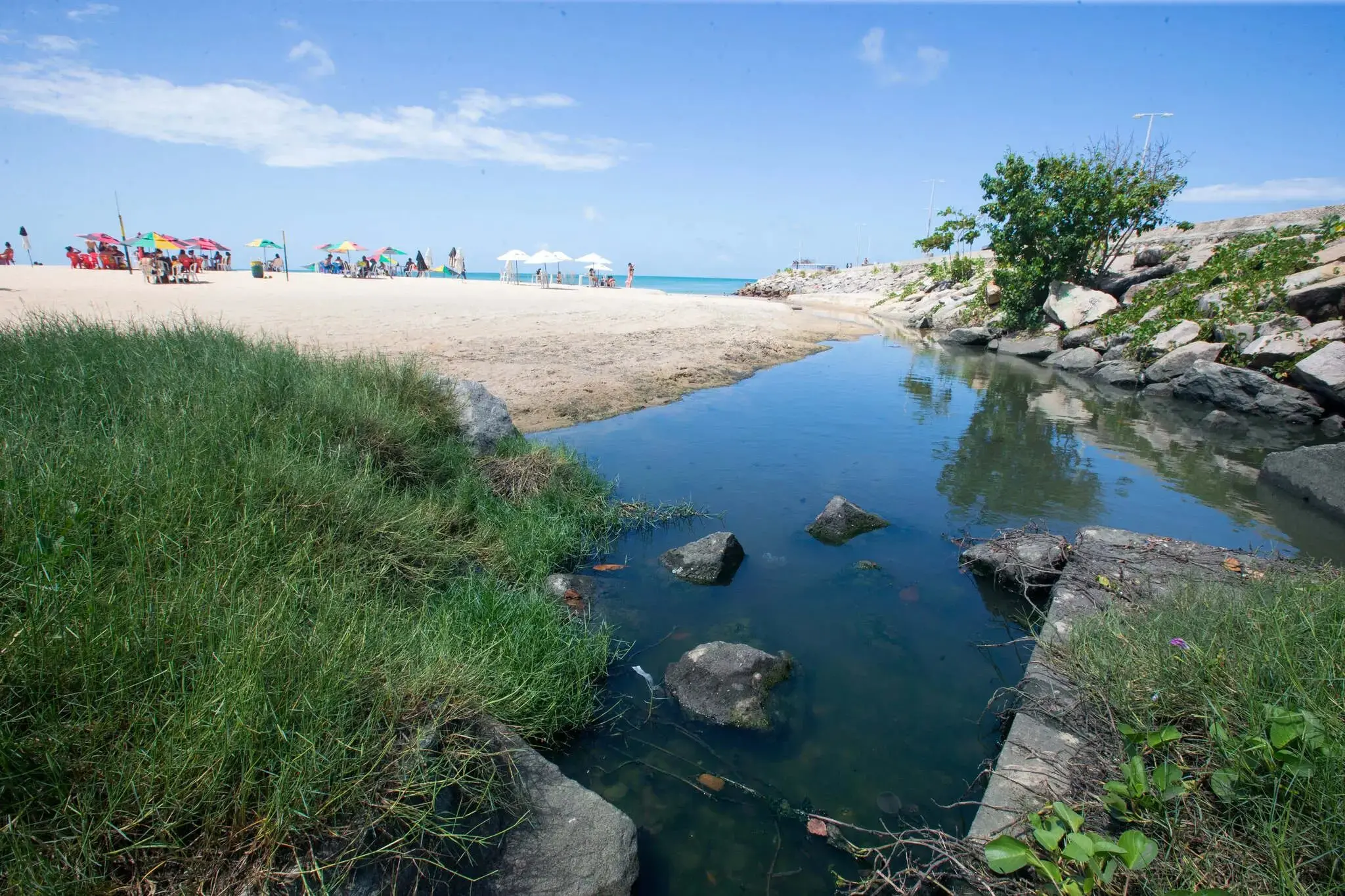 Imagem de manchas no mar de Fortaleza, na Praia de Iracema.