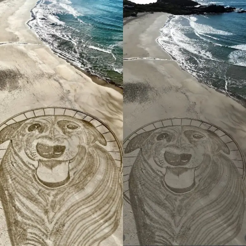 Artista Reci Clayton criou desenho gigante na areia para lembrar o cão Orelha. 