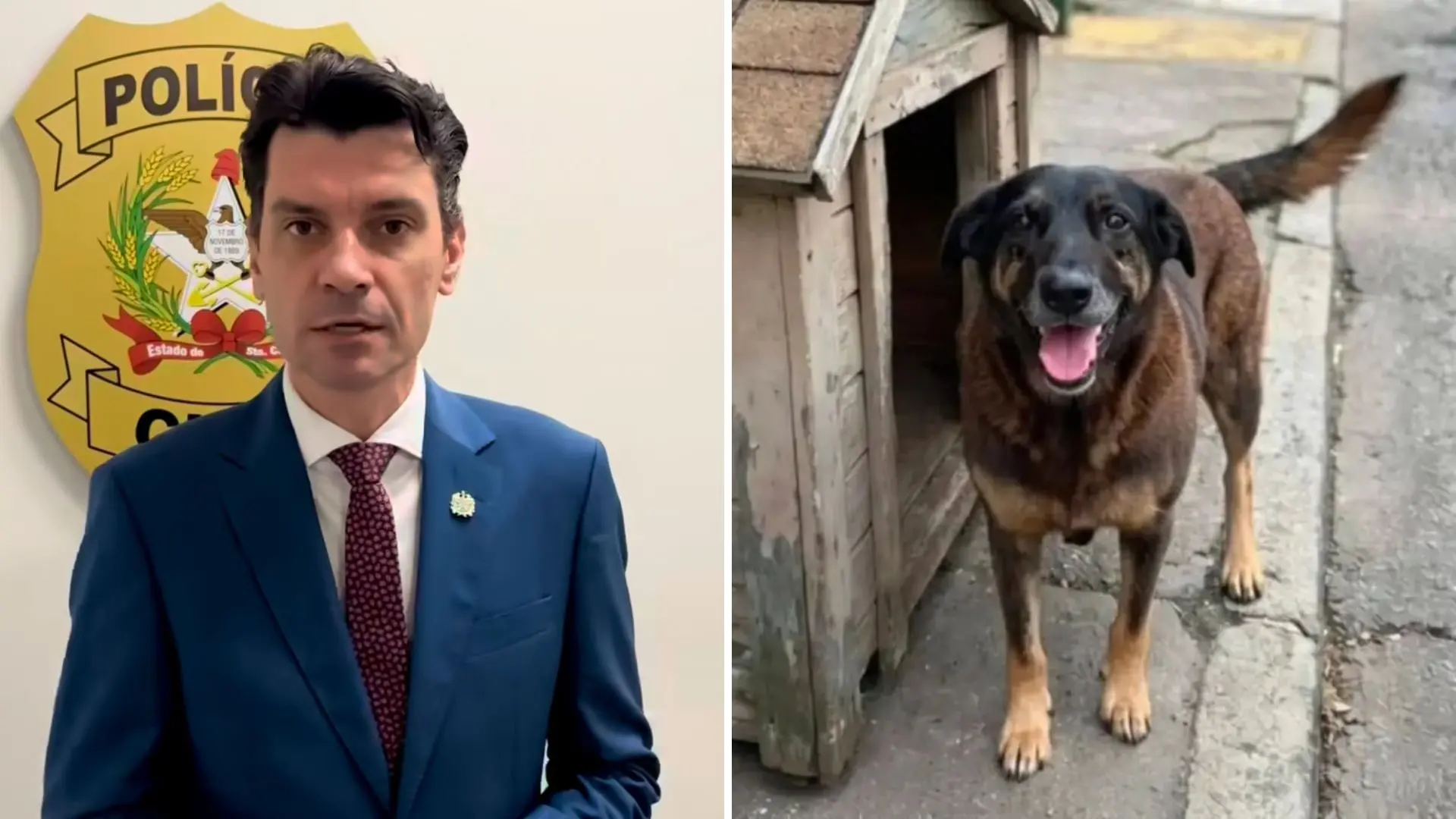 montagem mostra imagem do delegado-geral da Polícia Civil de Santa Catarina, Ulisses Gabriel, ao lado de uma foto do cão Orelha.