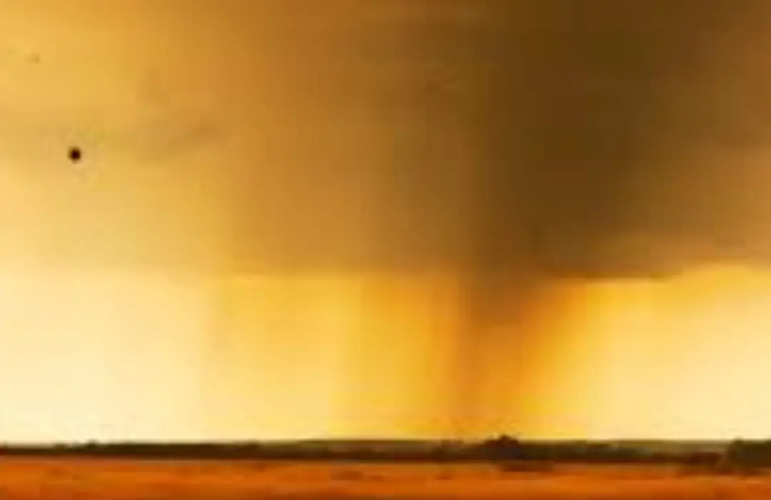 Leia a coluna de Wilton Bezerra desta sexta-feira (30) O passado