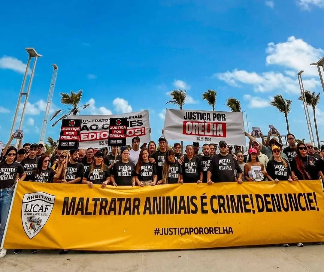 Foto de protesto pedindo justiça pelo cão Orelha em Fortaleza.