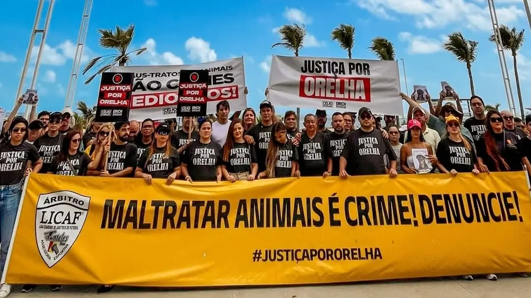 capa da noticia