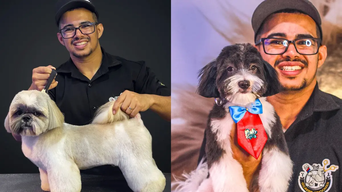 Um profissional de pet grooming posa com dois cães diferentes: um Shih Tzu claro de pelo longo e bem cuidado, e um cão pequeno preto e branco usando um elegante laço vermelho e azul.