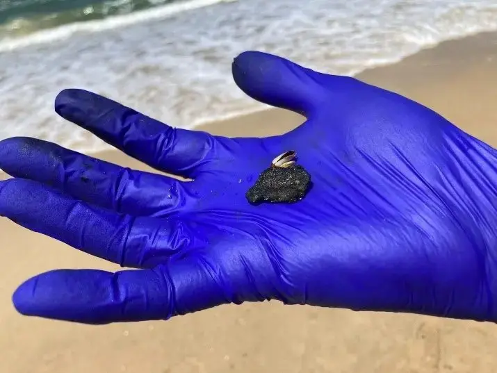 Mão com luva azul segura pequeno pedaço de óleo recolhido em praia do Ceará.