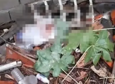 Criança abandonada em Icó.