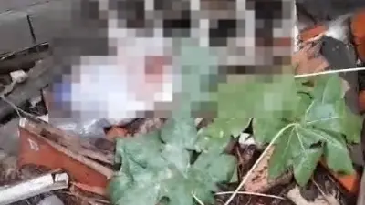 Criança abandonada em Icó.