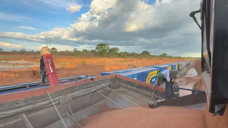 Imagem de um caminhão carregando um vagão de um trem da Transnordestina Logística com grãos de milho.