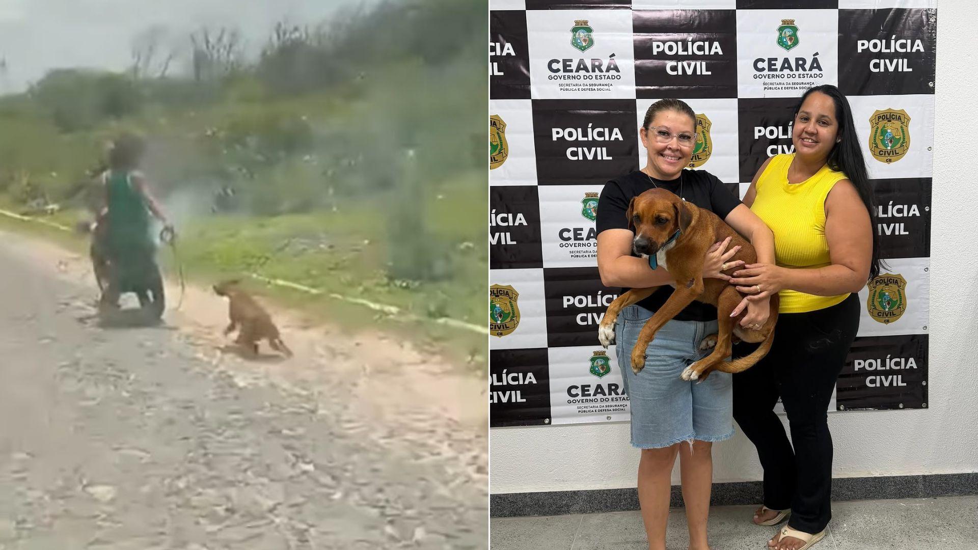 Cão Alfredo sendo arrastado e após o resgate.