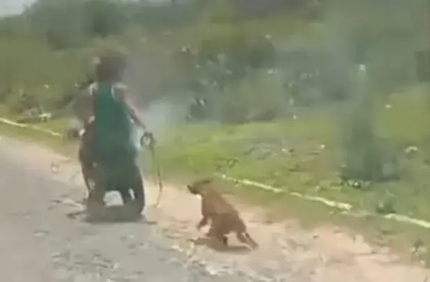 Imagem da notícia Casal é preso por maus-tratos após arrastar cachorro em moto no Interior do Ceará