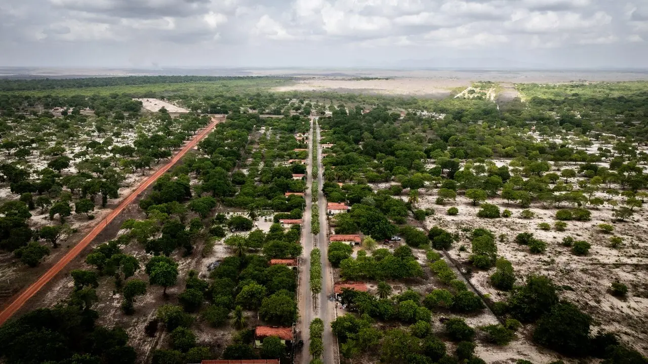 Vista aérea de área rural de cajueiros com estrada reta cortando plantações e vegetação típica do semiárido, com casas espaçadas ao longo da via e extensas áreas de cajueiros ao redor, sob céu nublado.