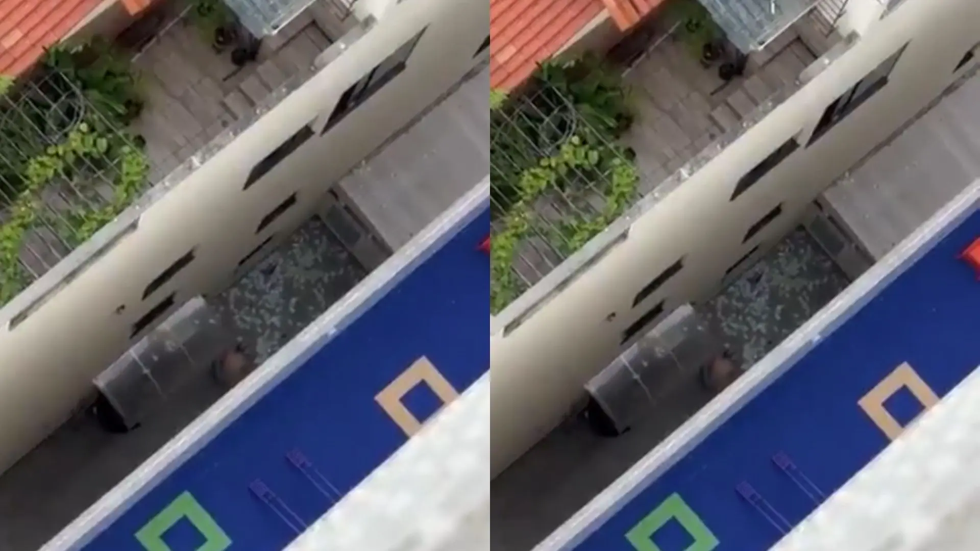 Foto do dinheiro que foi jogado pela janela  durante cumprimento de mandados da Operação Barco de Papel.