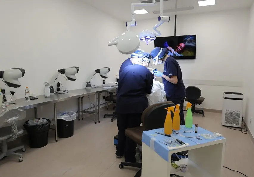 Cirurgia de transplante capilar em Fortaleza.