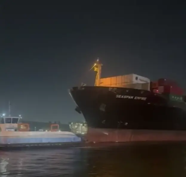 Imagem mostra momento em que porta-contêineres bate em balsa de travessia de veículos e pessoas.