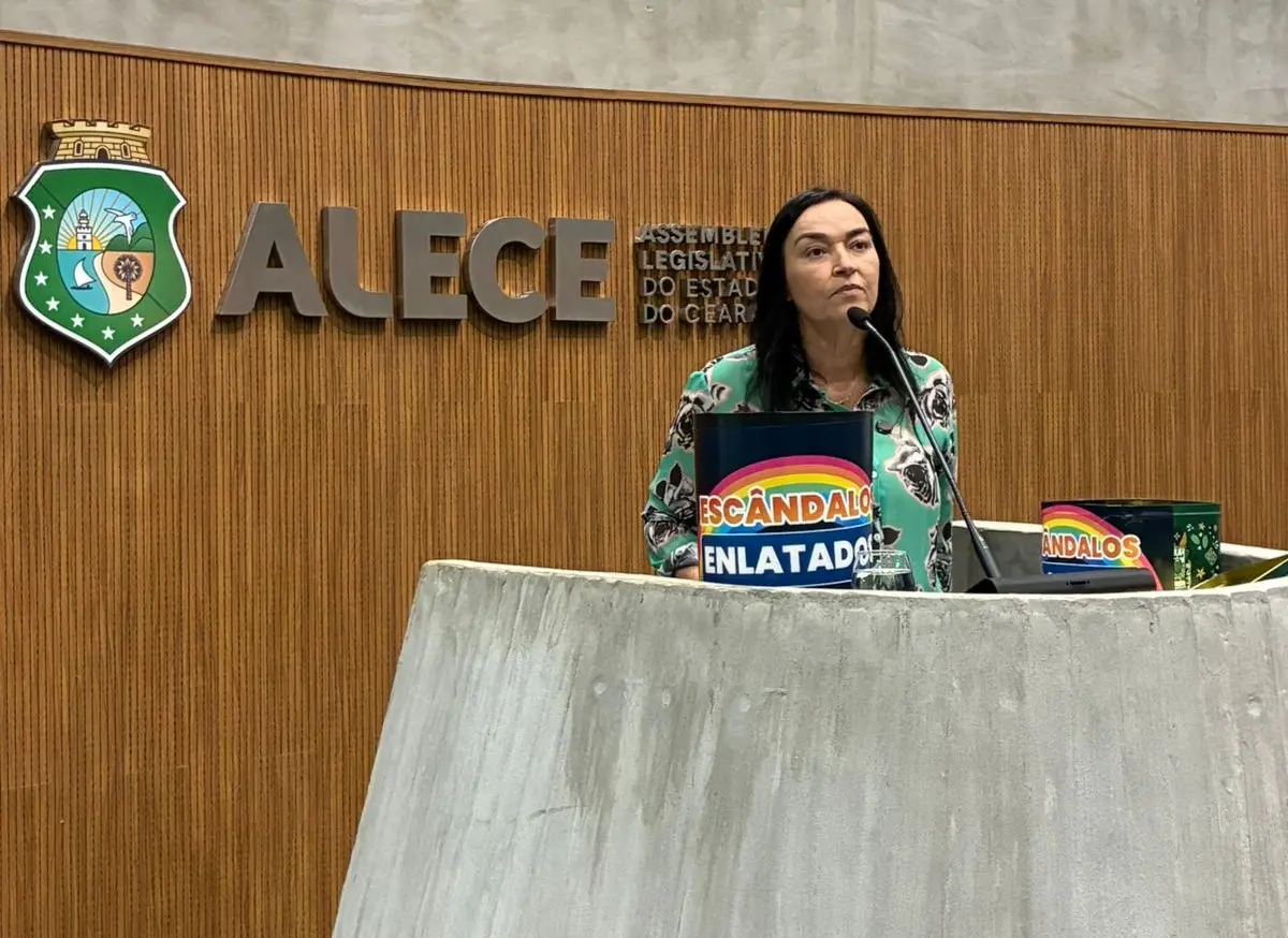 Deputada estadual Dra. Silvana discursa na Assembleia Legislativa.