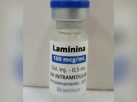 Imagem da notícia: Resultado de novo estudo sobre polilaminina ‘não permite conclusões’ sobre eficácia