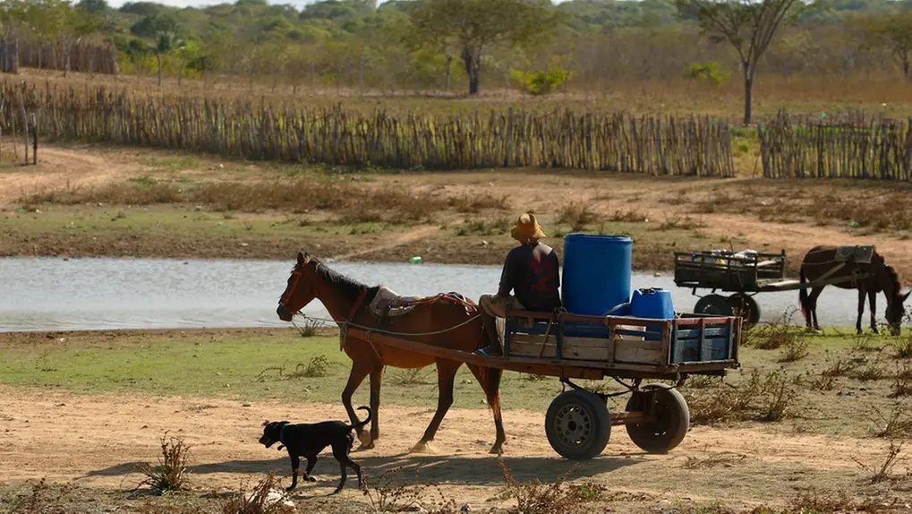 Homem em carroça puxada por cavalo, transportando barris de água azuis perto de um lago em uma paisagem rural seca, acompanhado por um cachorro.