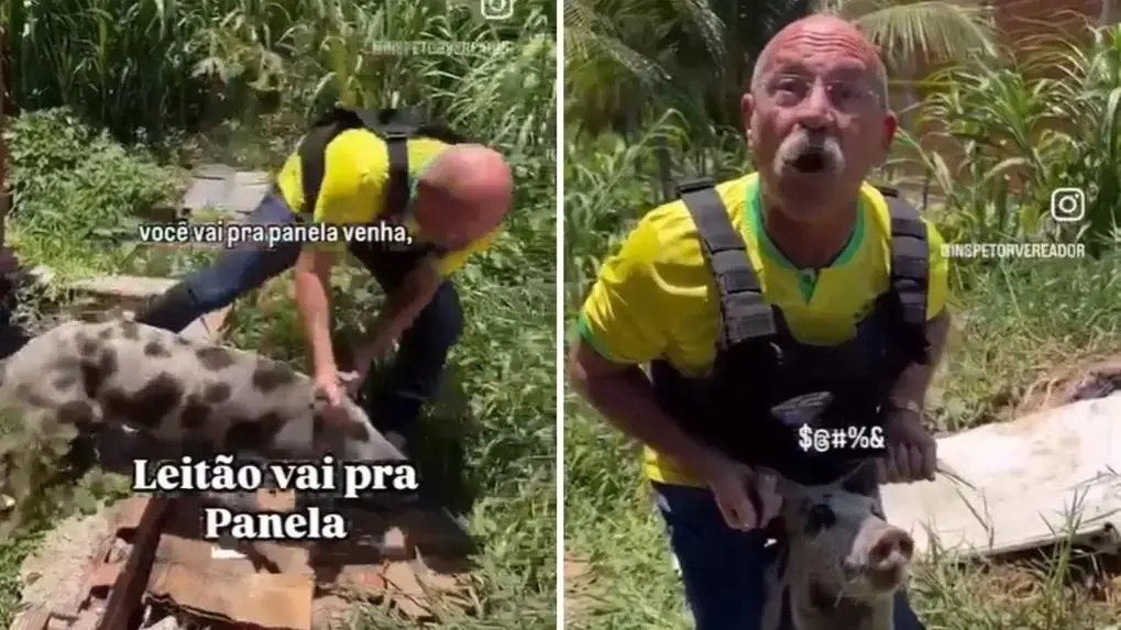 Vereador Inspetor Alberto aparece vestindo camisa amarela com colete à prova de balas, segurando um porco pelas orelhas.