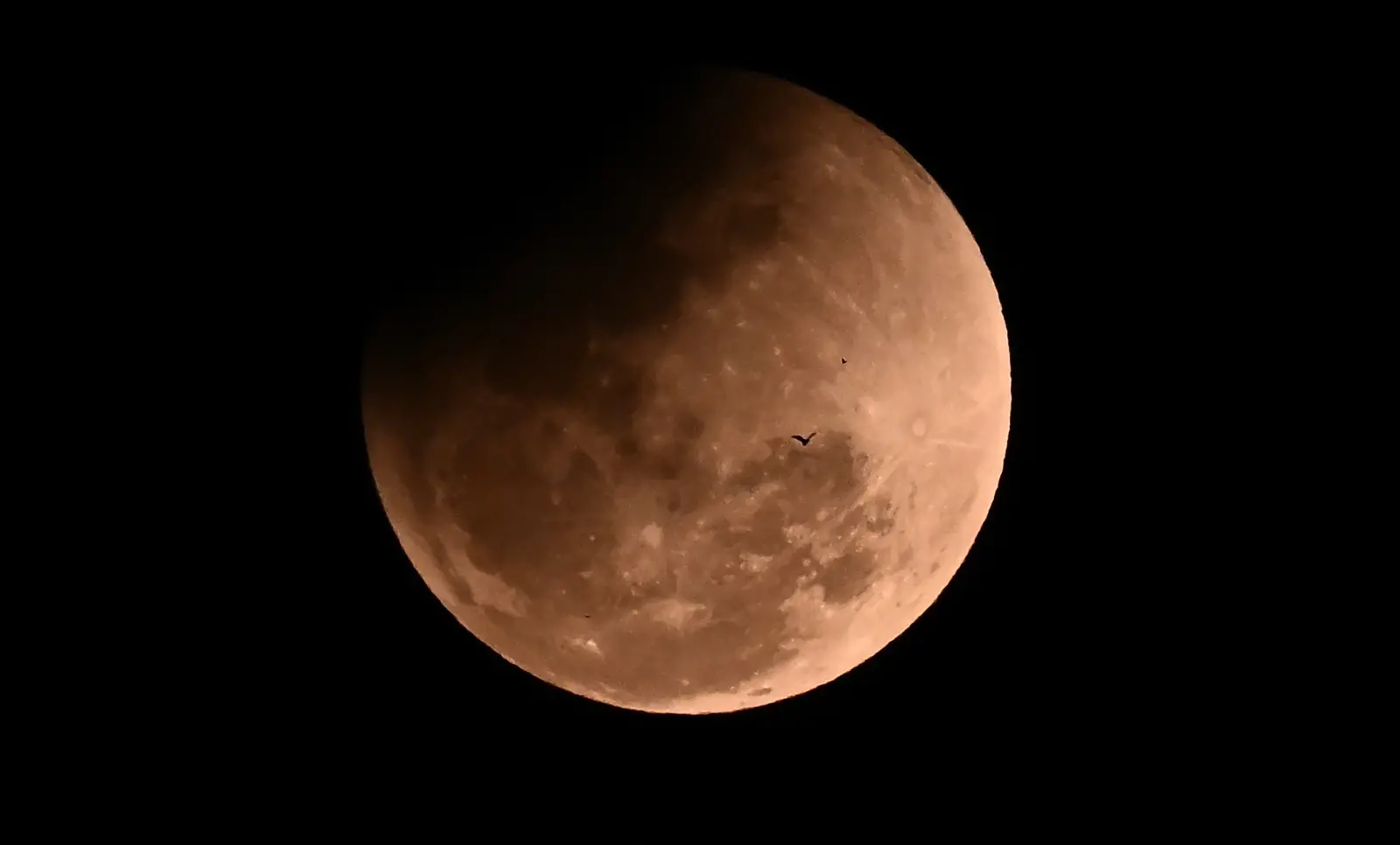Imagem da notícia Veja imagens da Lua de Sangue, o eclipse lunar total que 'avermelhou' o céu nesta terça 