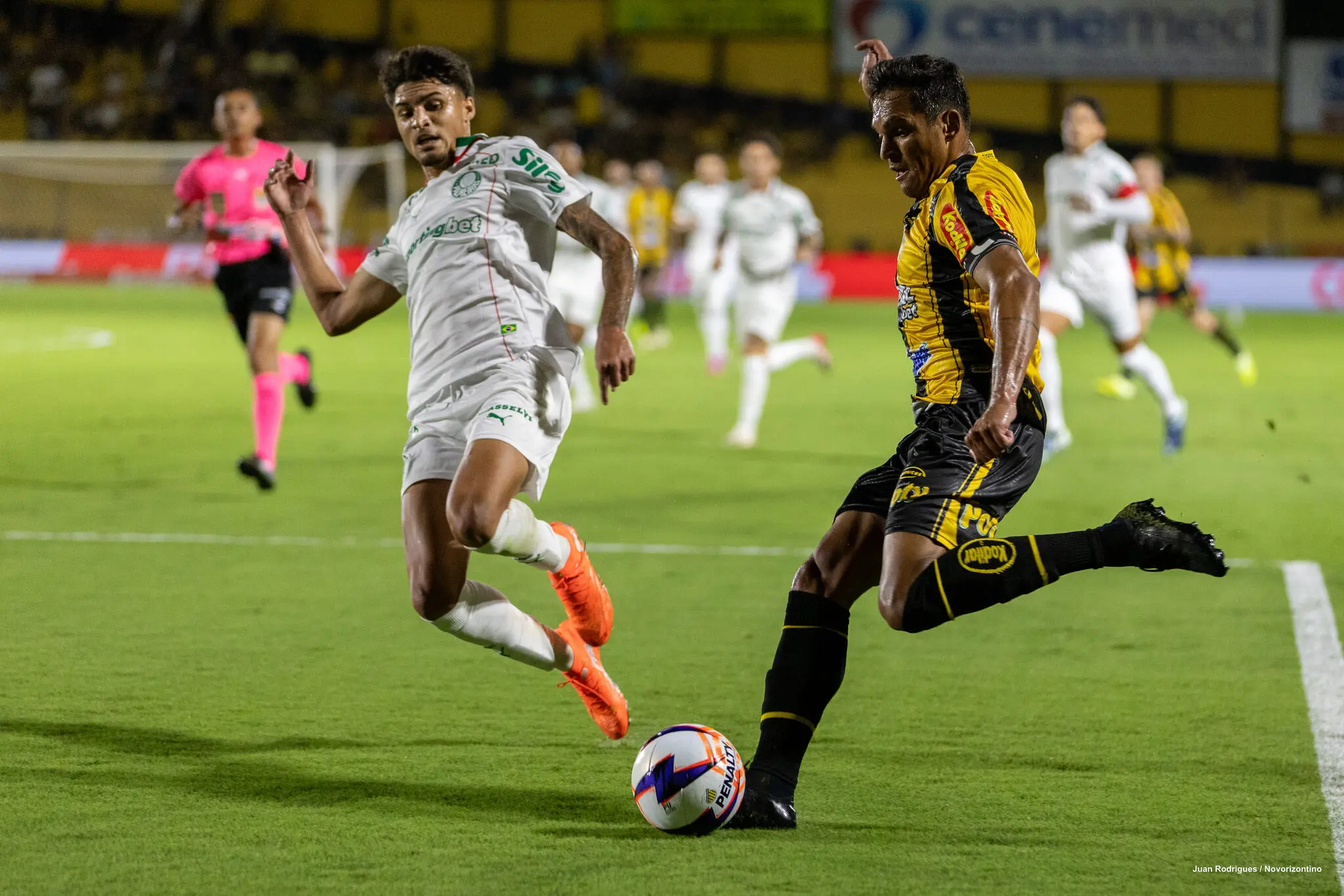 Foto de jogadores de Palmeiras e Novorizontino