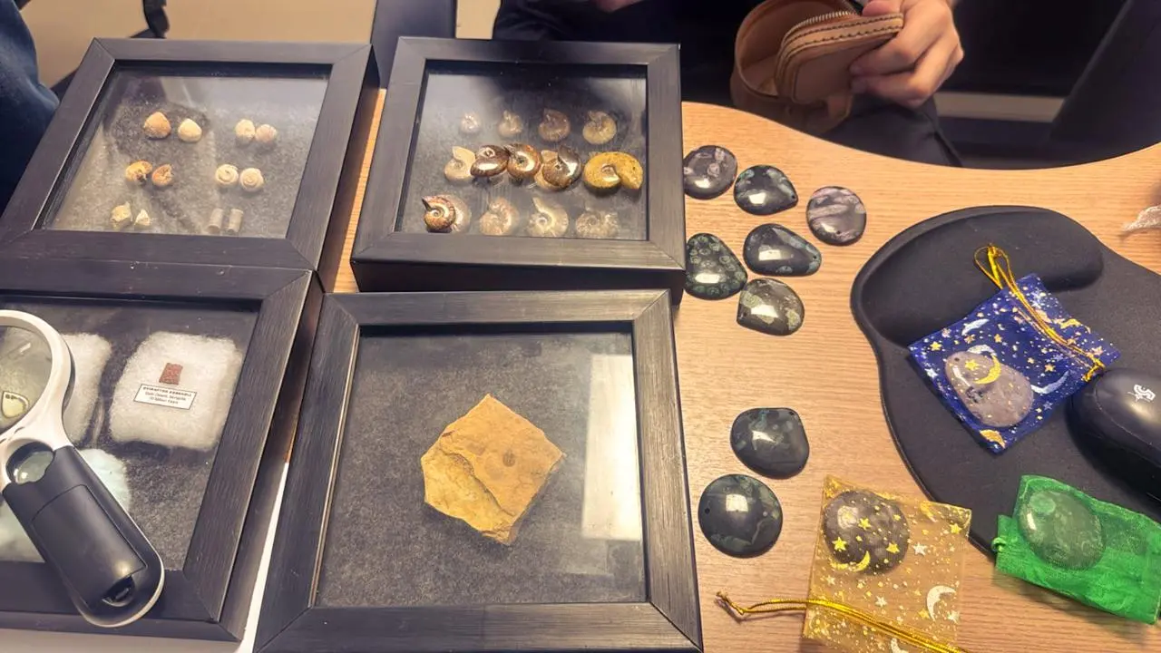 objetos apreendidos, pedras semipreciosas, fosseis.