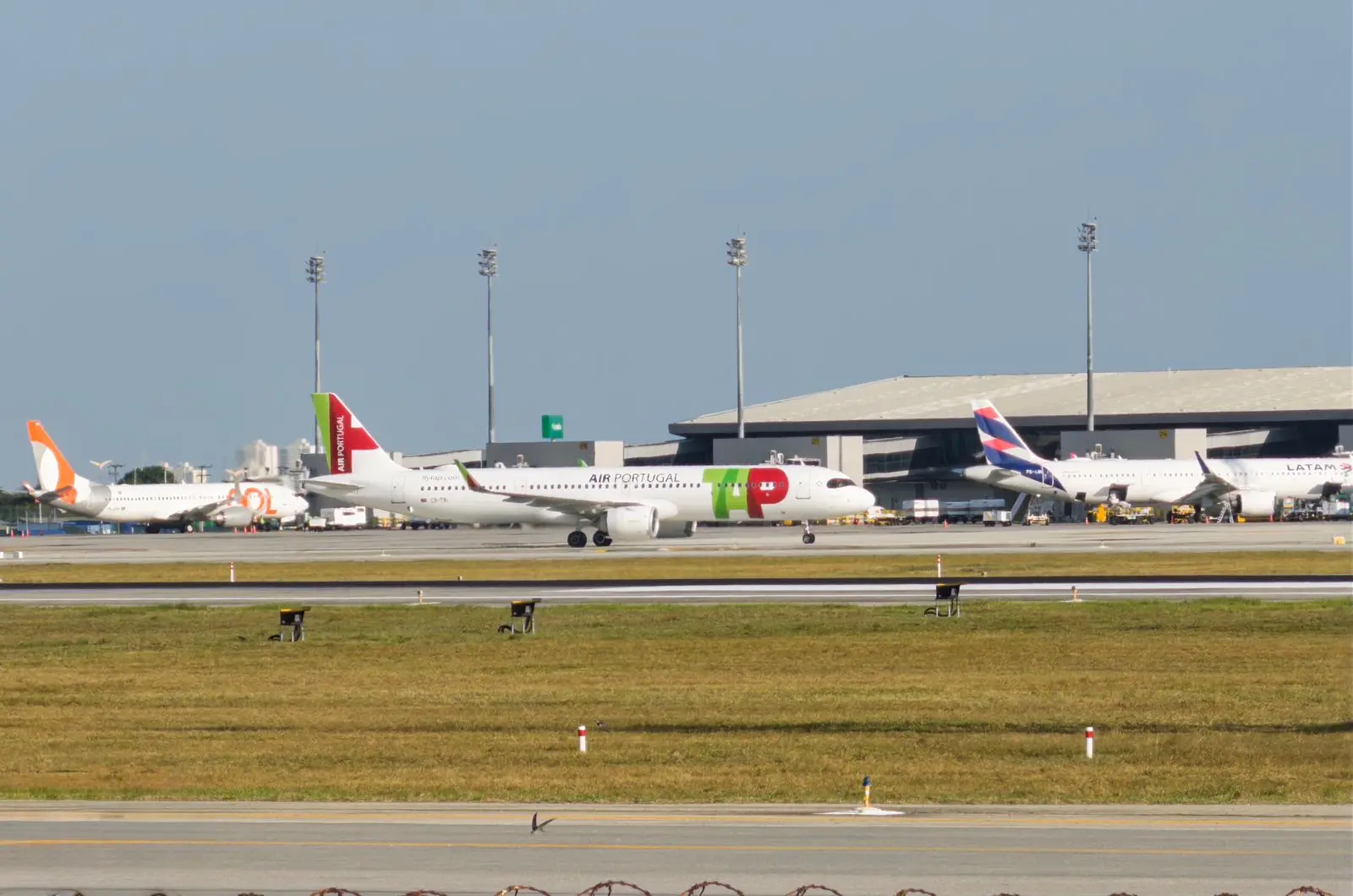 imagem mostra aeroporto de fortaleza com aviões da gol, latam e tap no pátio de aeronaves.