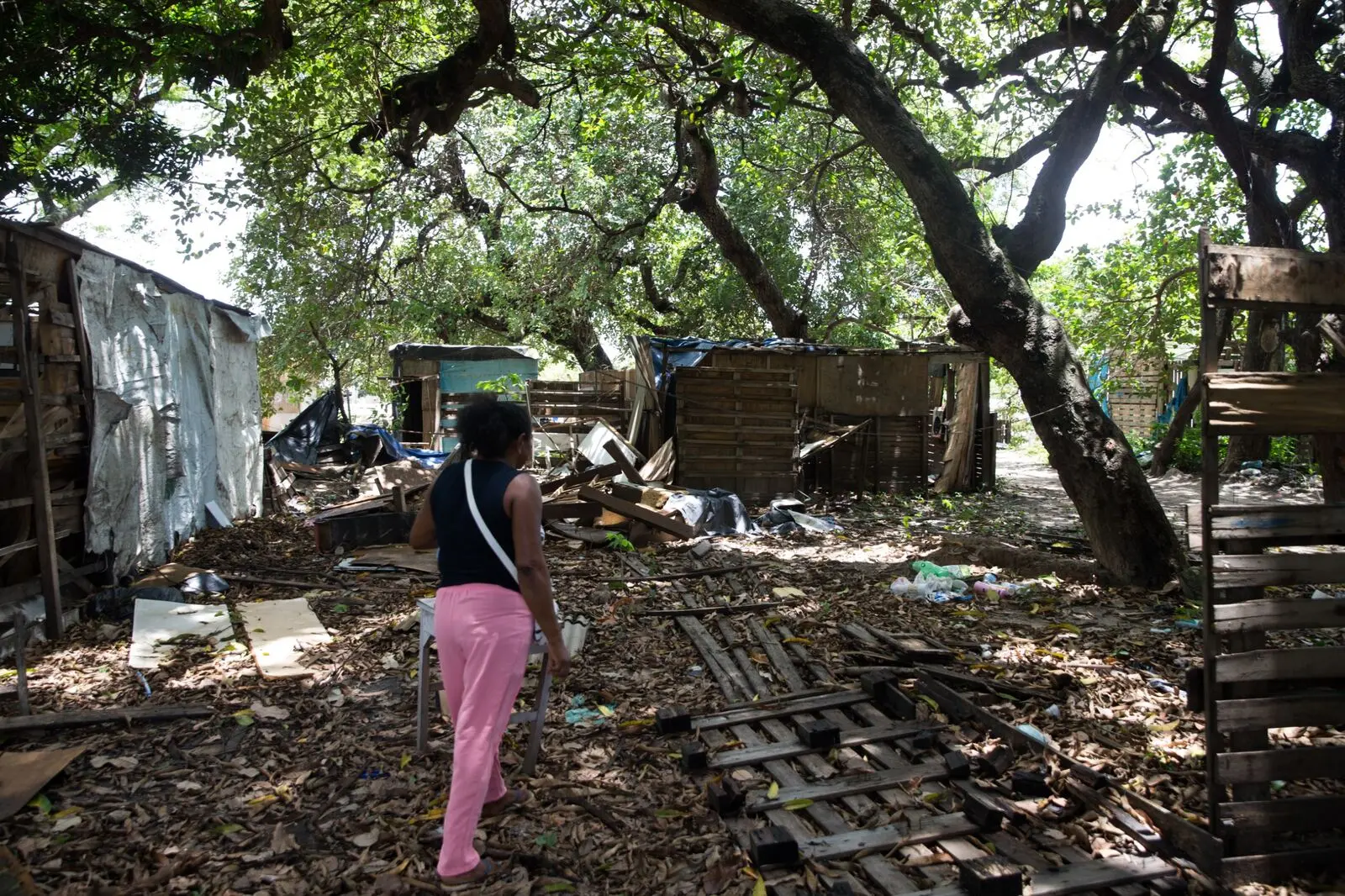 Mulher de costas caminhando por um terreno arborizado repleto de destroços, paletes de madeira e estruturas de barracos desmontadas.