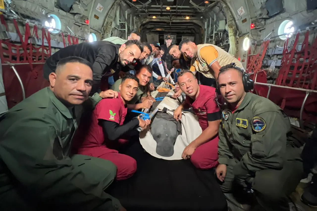 Equipe venezuelana, após o resgate de Tico